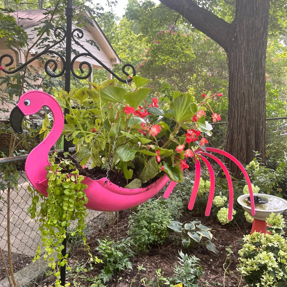 flamingo air plant holder Flo the Flamingo – USA Planter