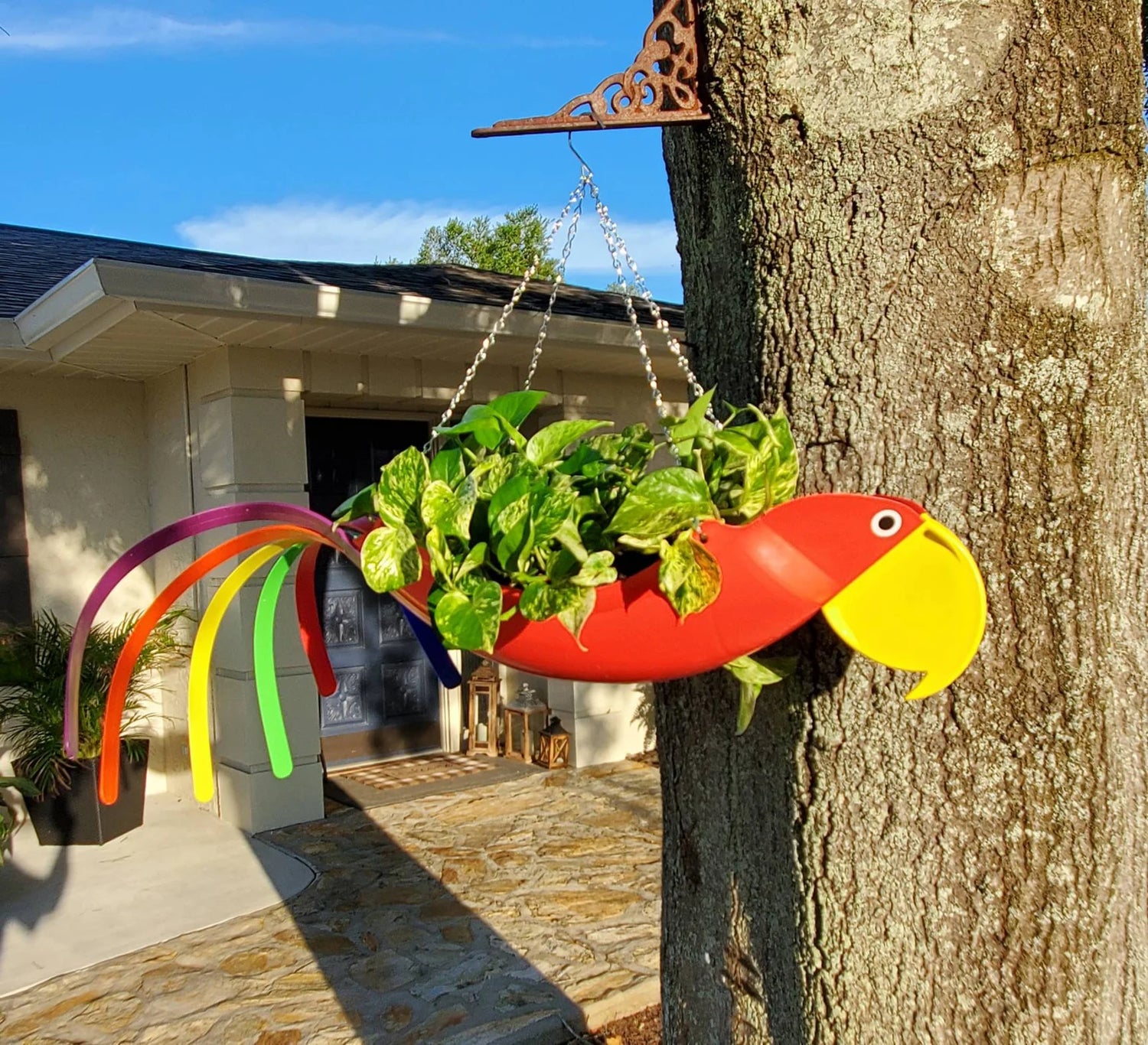 Rosie The Red Parrot