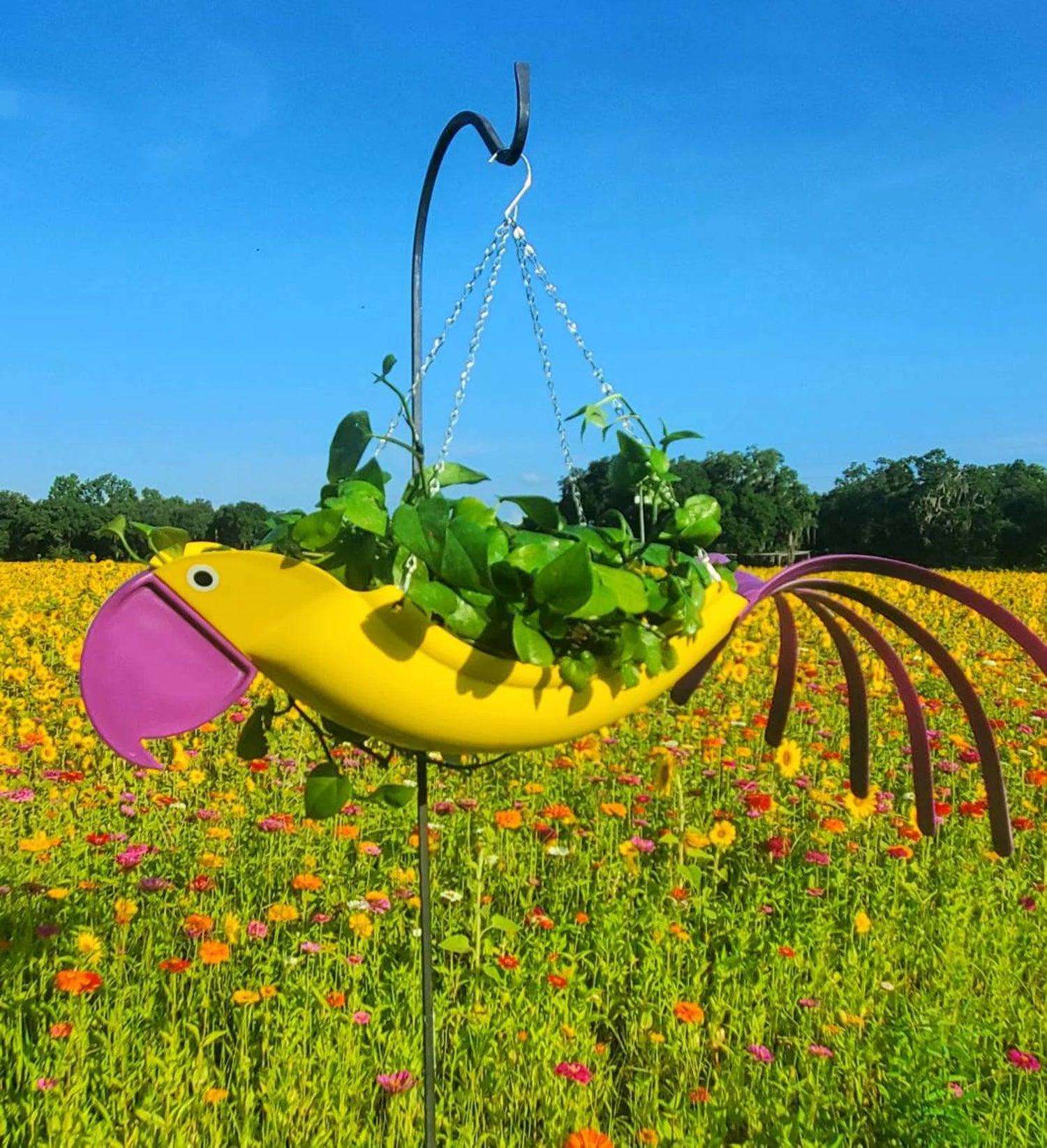 Sammy The Yellow Parrot