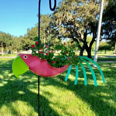 Lilly The Colorful Bird