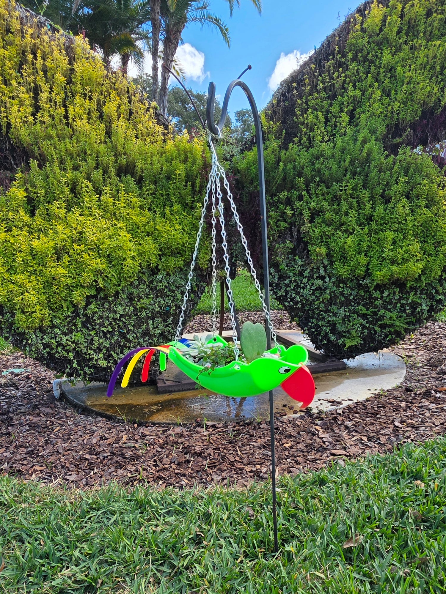 "Mini" Green Parrot Planter