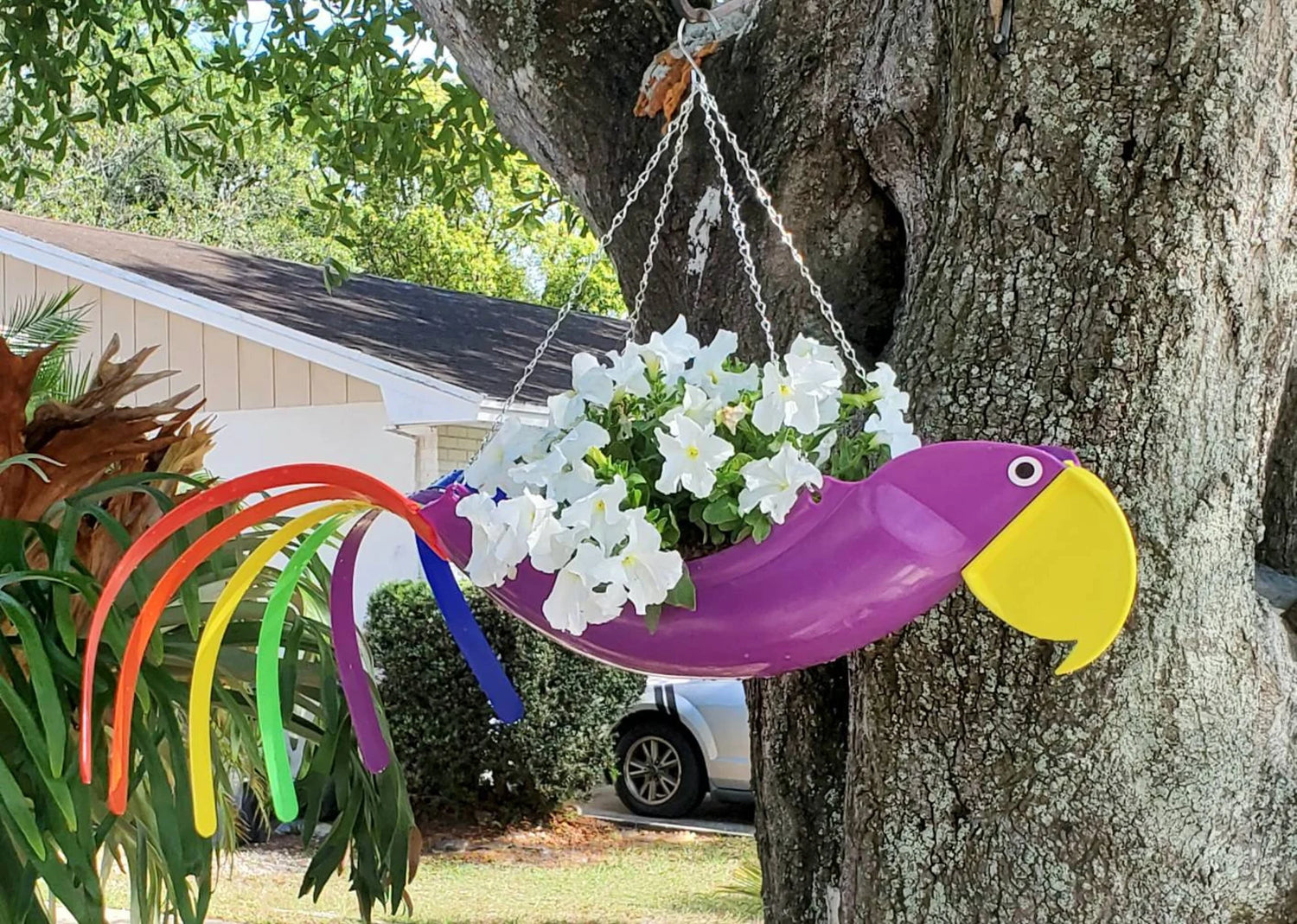 Patty The Purple Parrot
