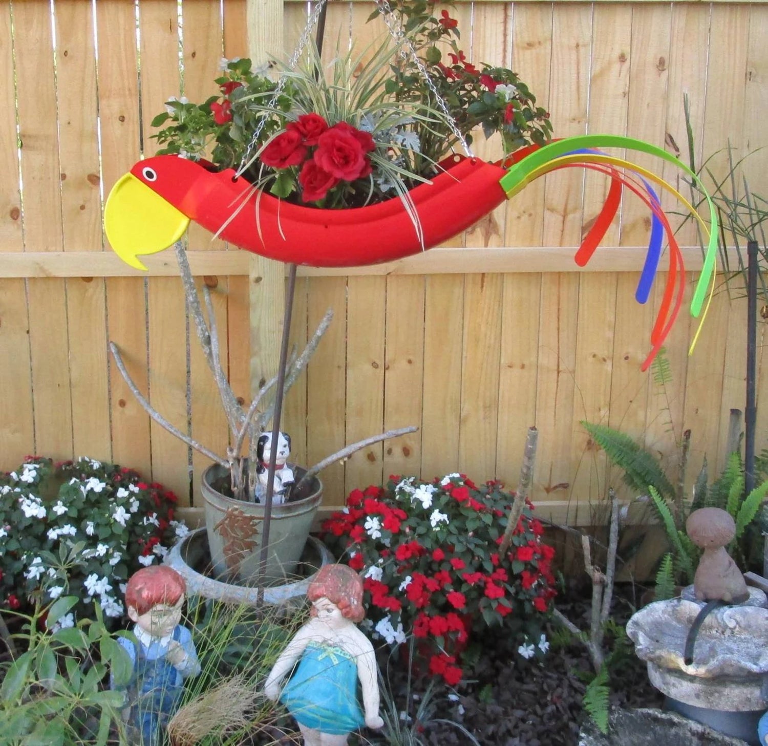 Rosie The Red Parrot