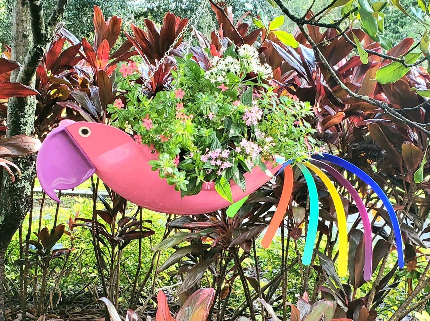 Polly The Pink Parrot