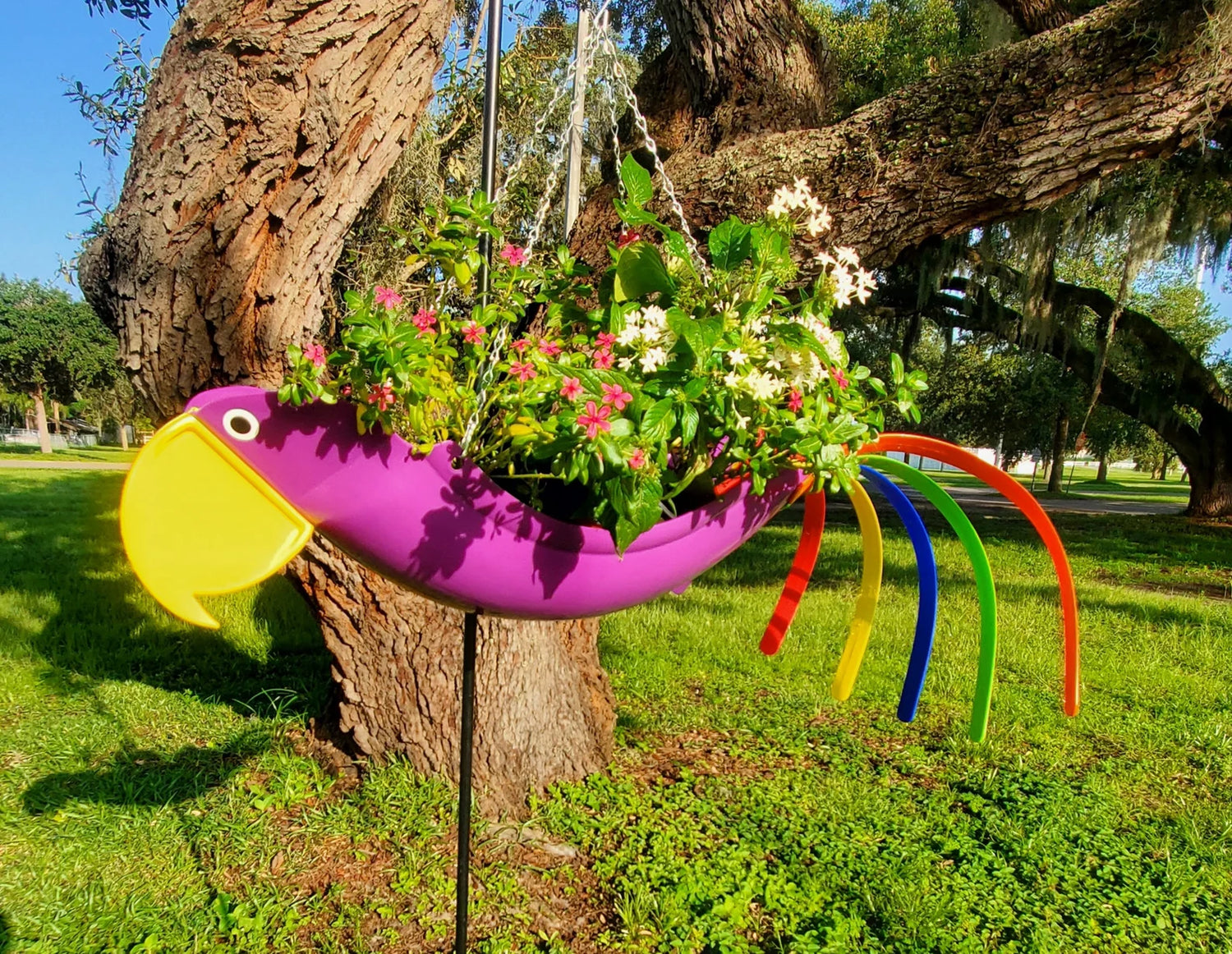 Patty The Purple Parrot