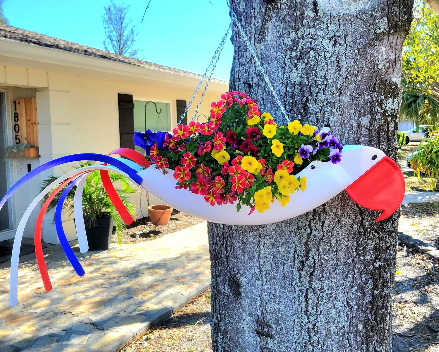 Patriotic Parrot