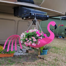 Flo the Flamingo